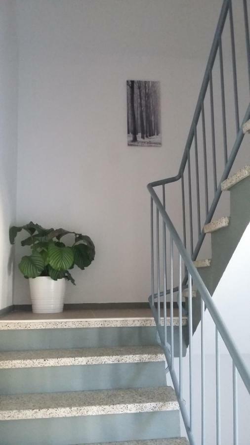 בודנסדורף Mistel Apartman מראה חיצוני תמונה